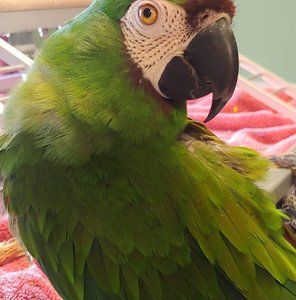 Meet your Posher, Sandra